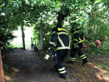 Hilfeleistungseinsatz