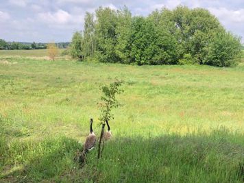 Hilfeleistungseinsatz