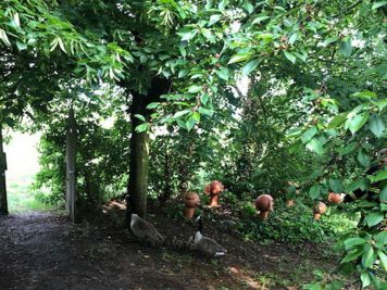 Hilfeleistungseinsatz